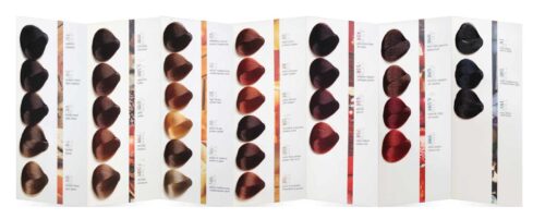 Rhol Color Active Emulsion (Aktivátor) – Tocco Magico - Image 2
